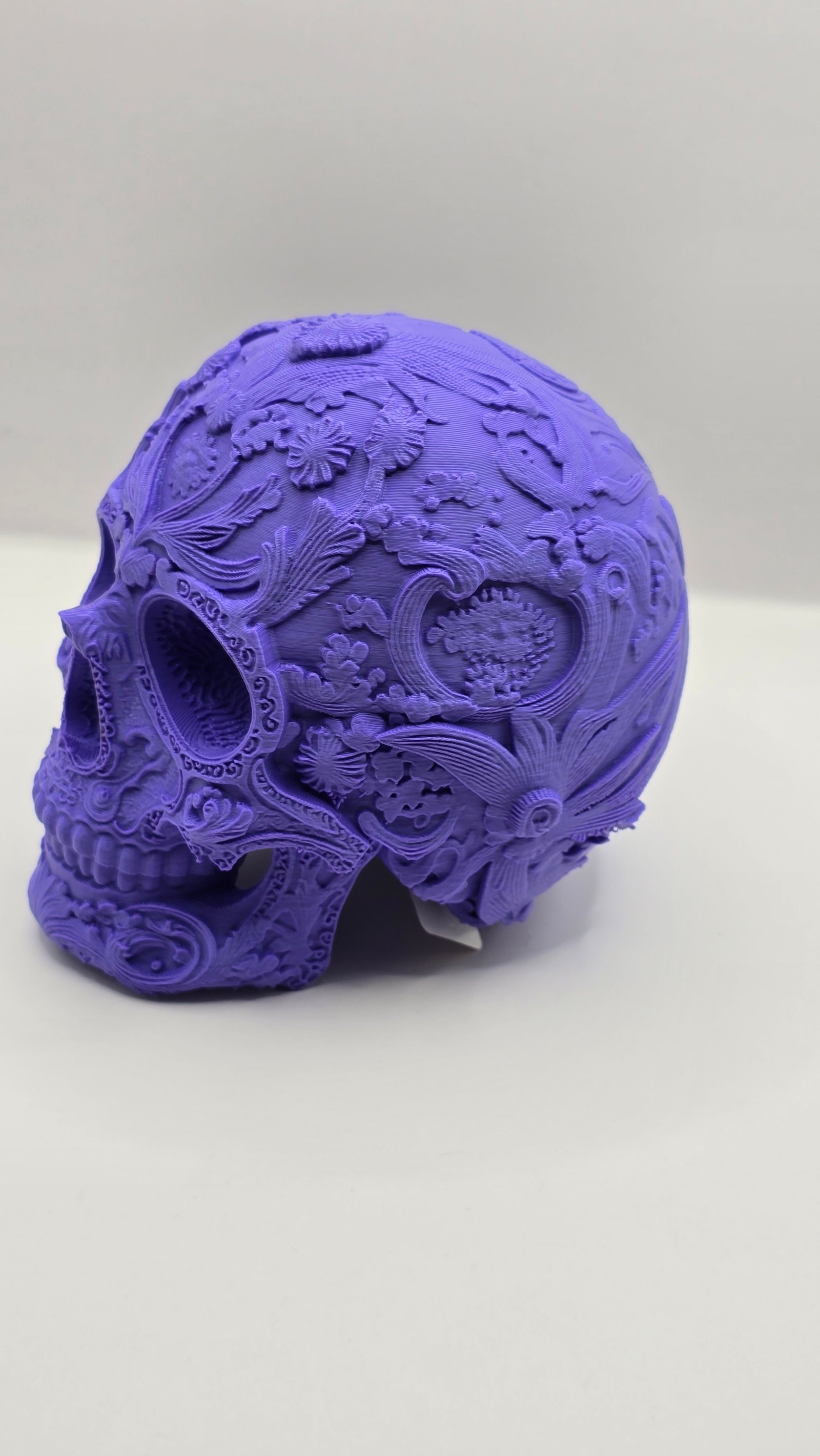 Preview Craniu Decor Mov