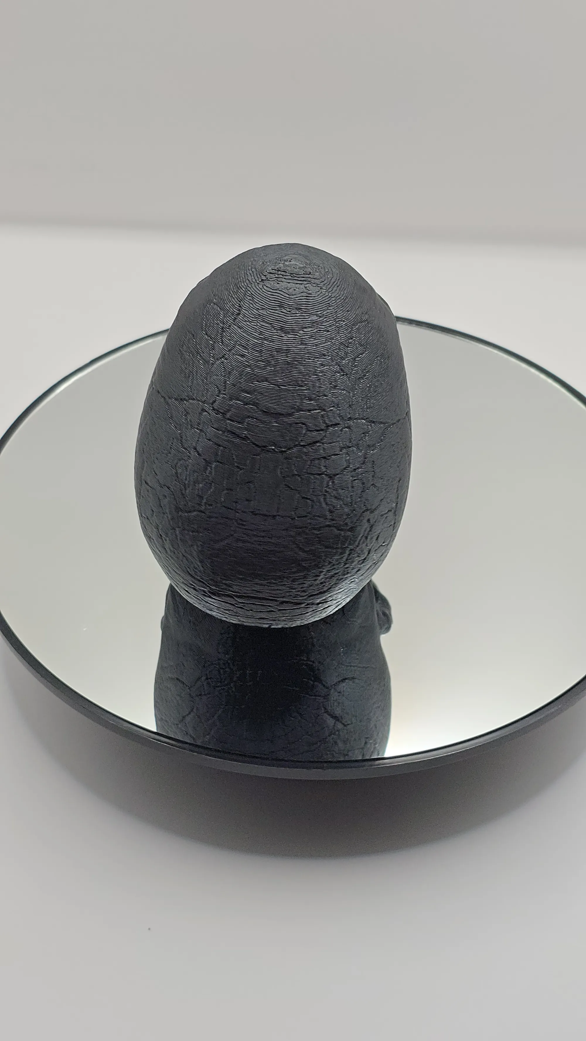 Craniu negru