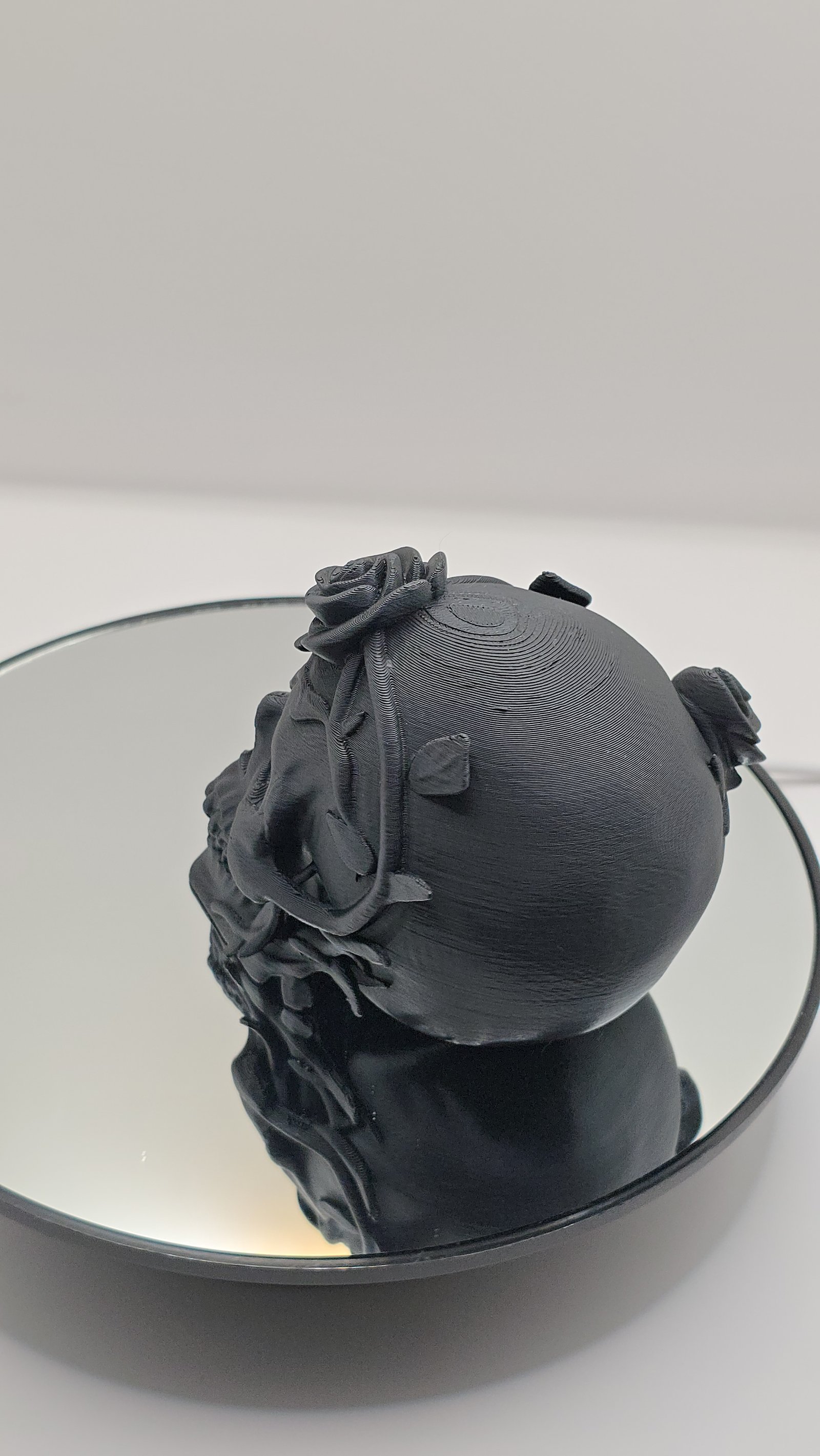 Preview Craniu spini