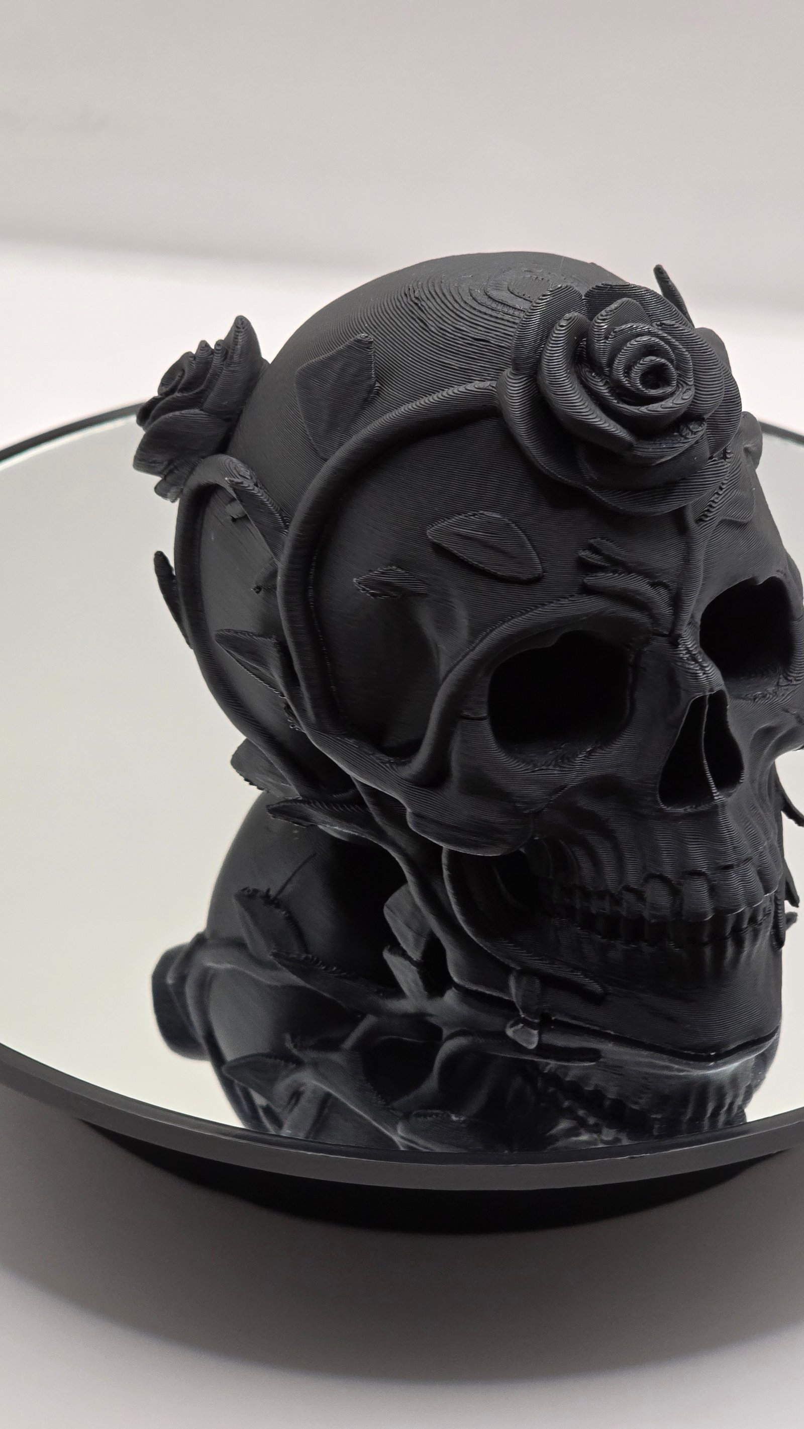 Preview Craniu spini