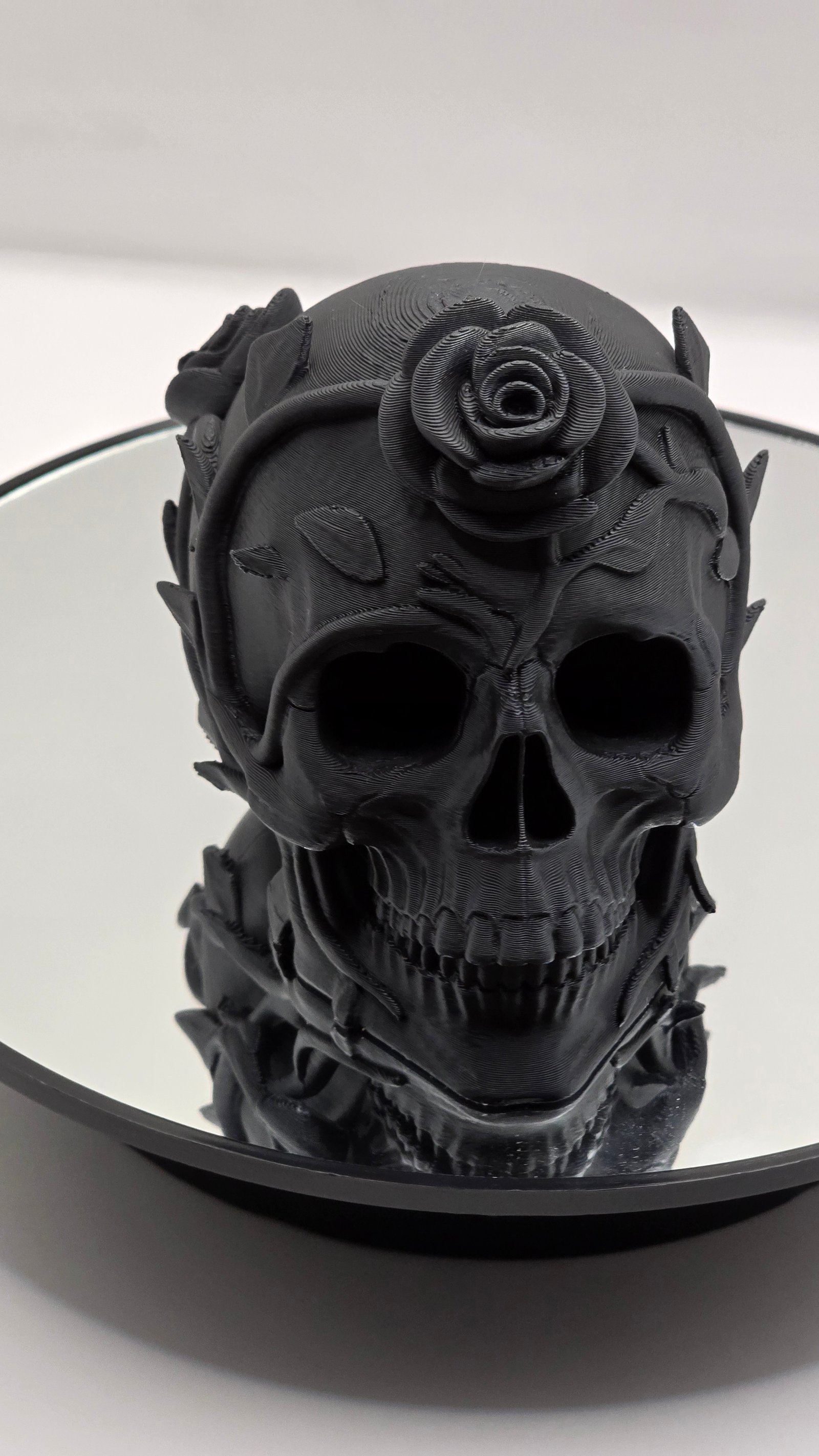 Preview Craniu spini