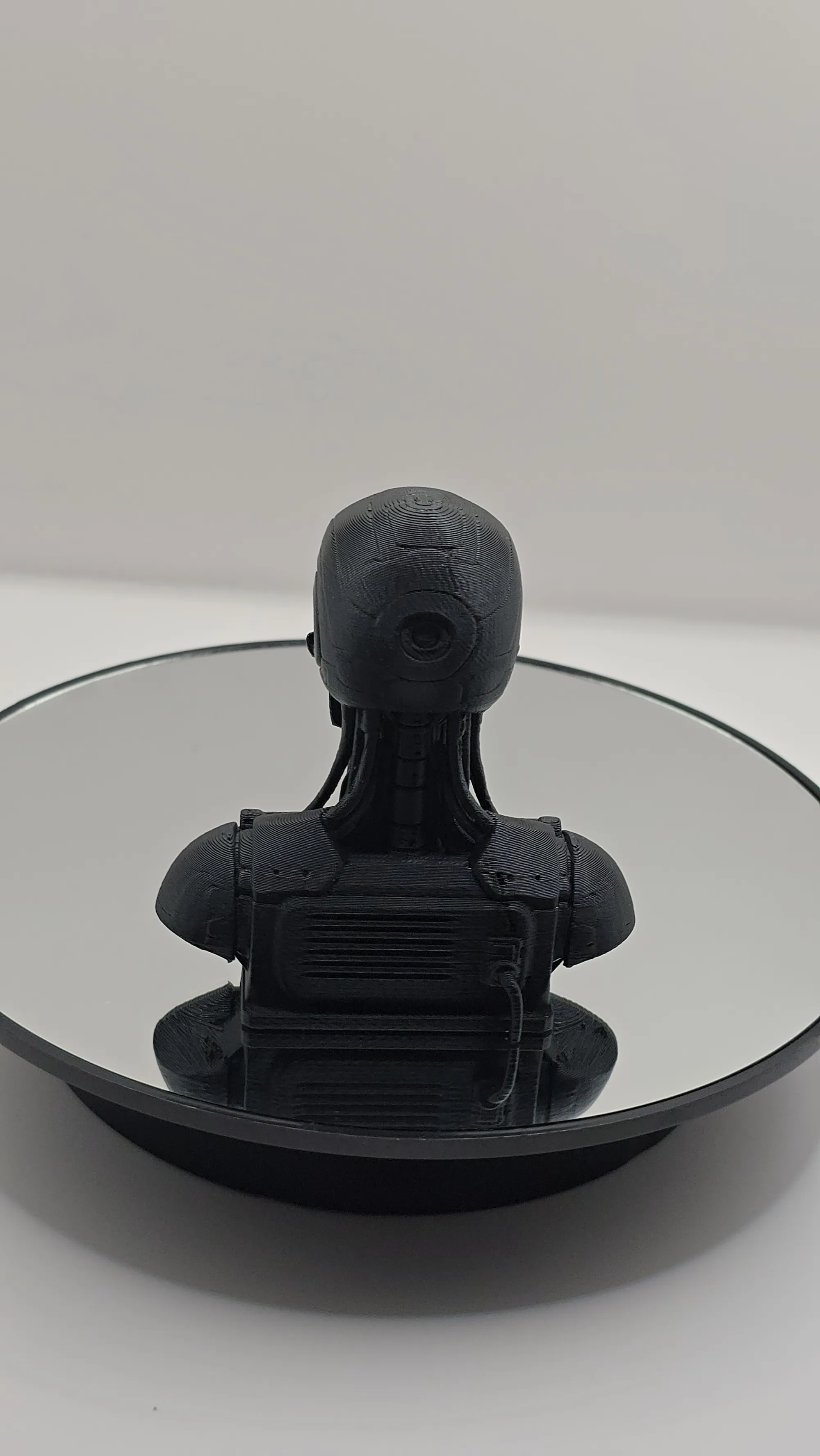 Craniu terminator