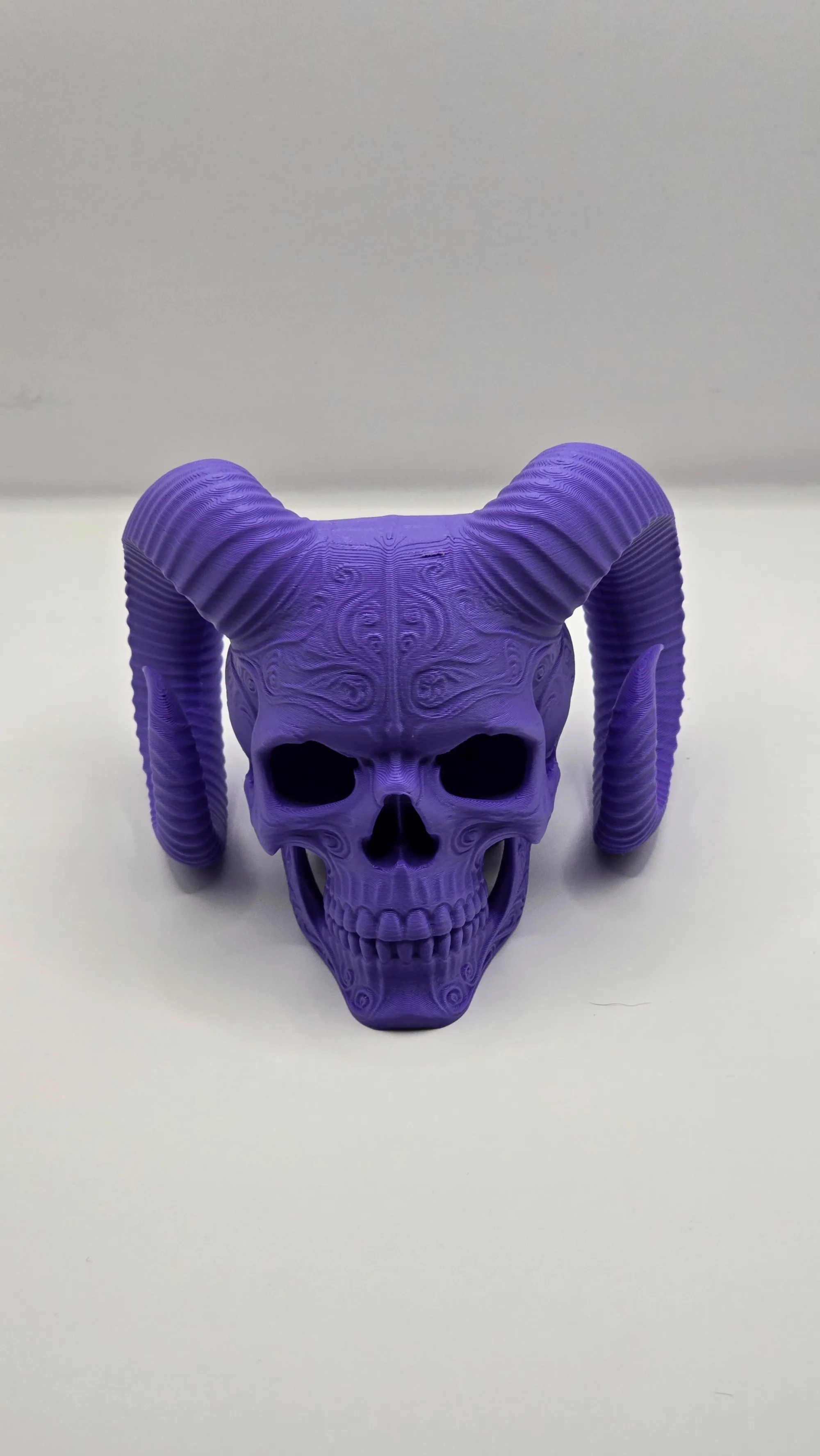 Horned Skull