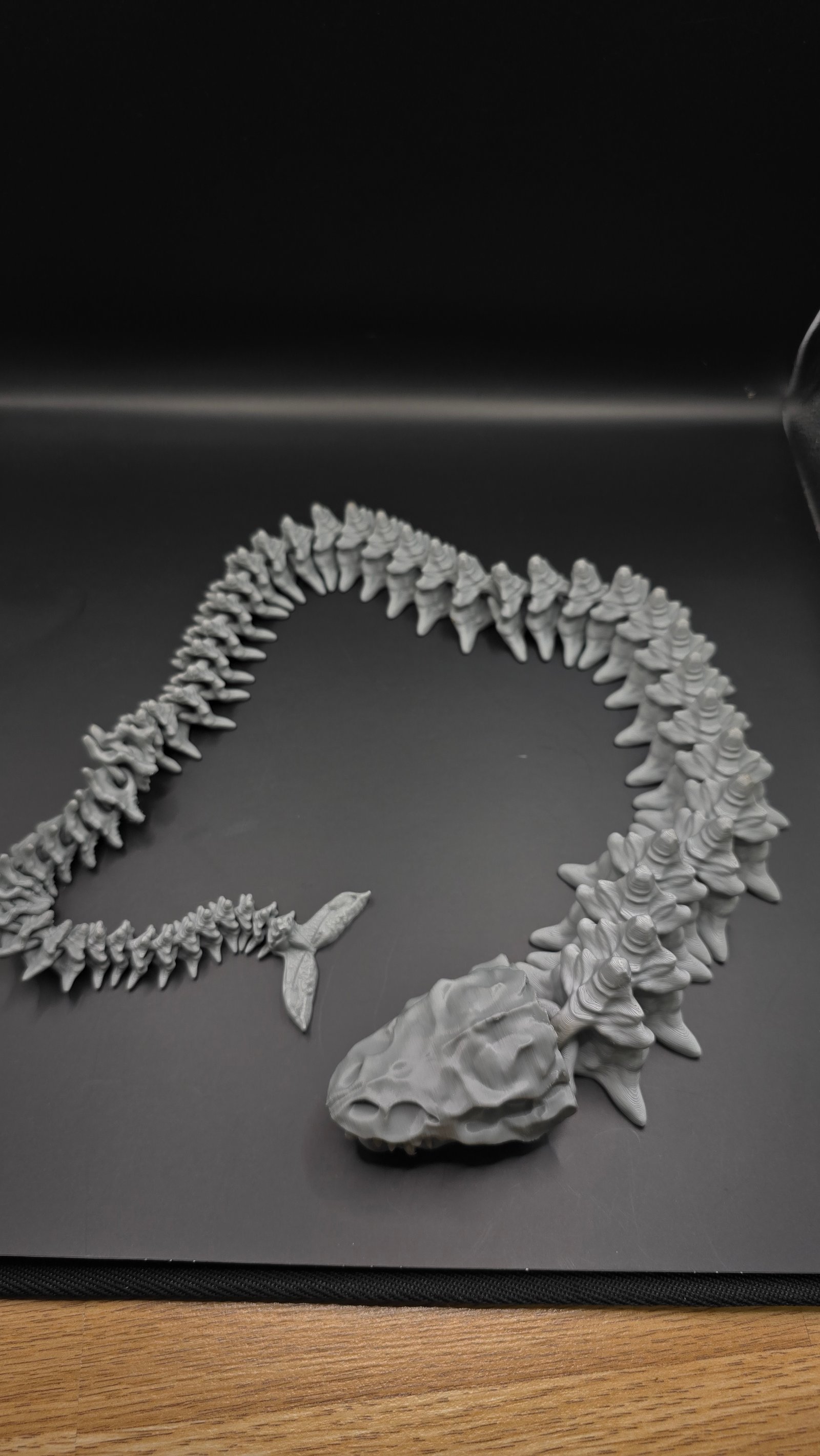 Schelet Sarpe Flexibil