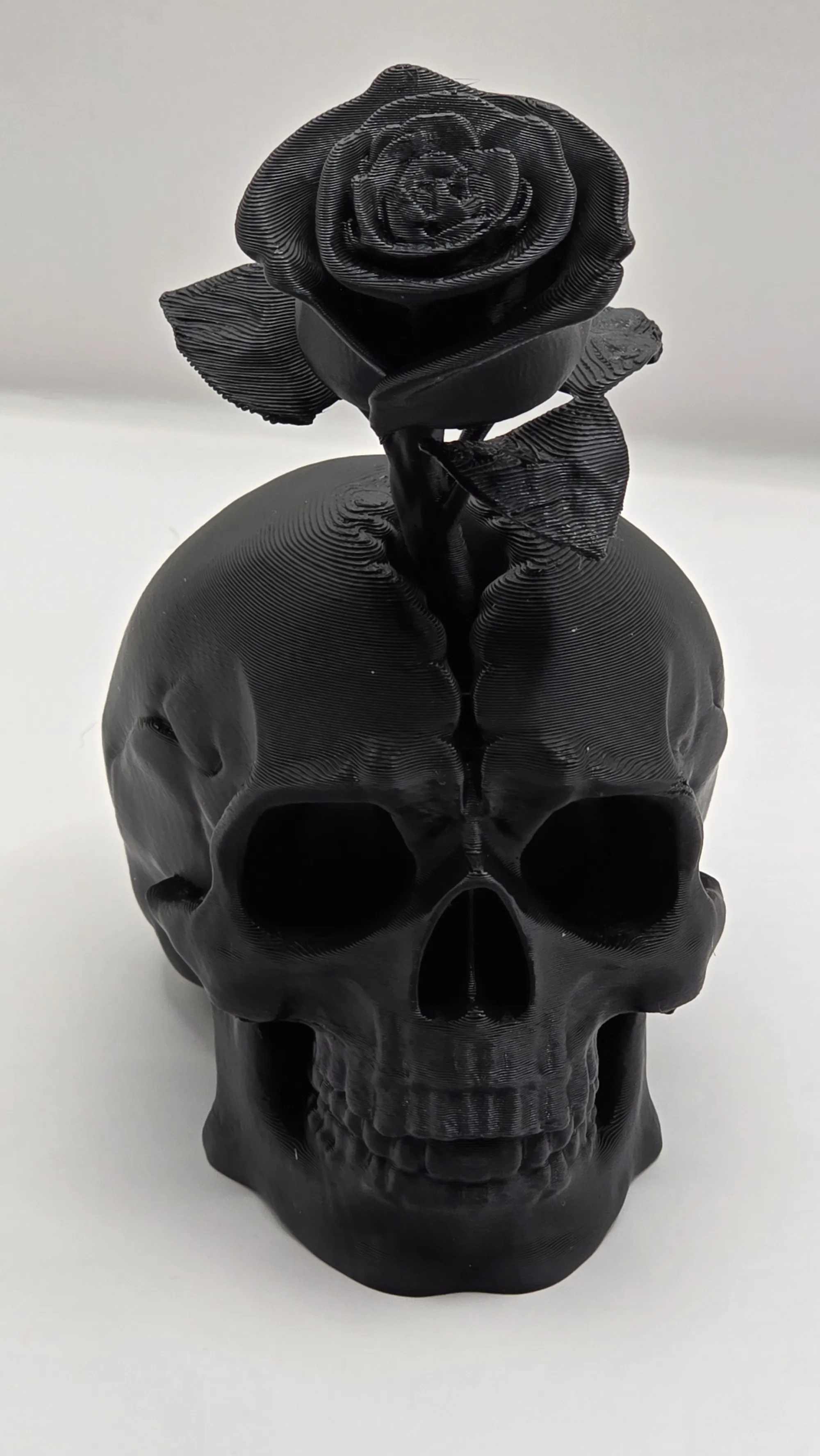 Skeleton rose